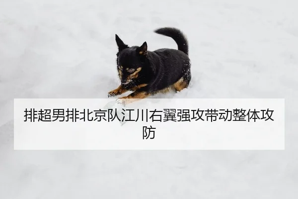 pai-chao-nan-pai-bei-jing-dui-jiang-chuan-you-yi-qiang-gong-dai-dong-zheng-ti-gong-fang-2-402.jpg